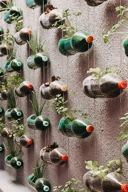vertical garden idea